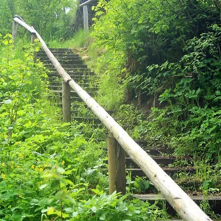 Homole D2 * Szczawnica