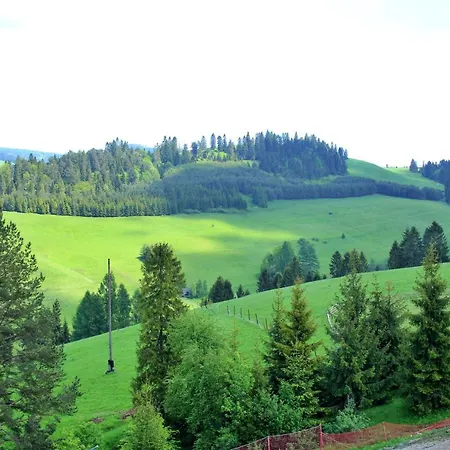 Homole D2 Lejlighed Szczawnica