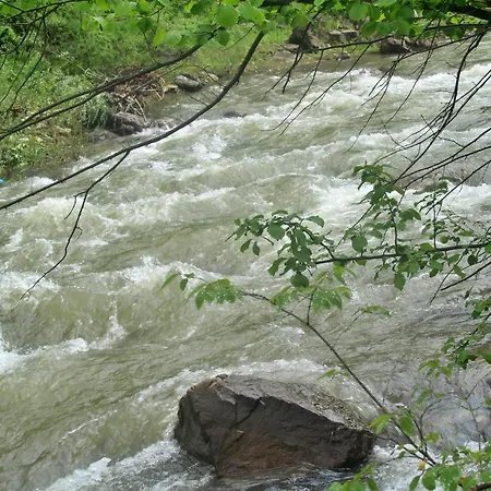 Lejlighed Homole D2 *