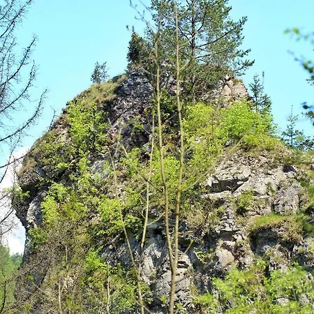 Lejlighed Homole D2 Szczawnica