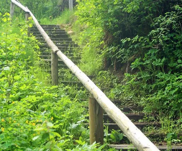 Homole D2 * Szczawnica