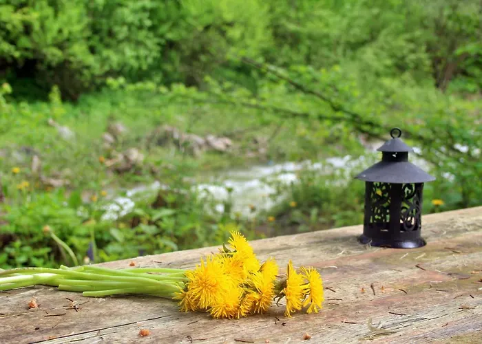 Appartamento Homole D2