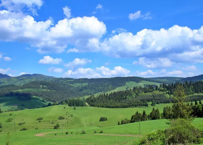 Appartamento Homole D2